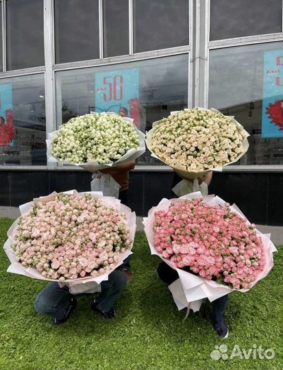 Роза пионовидные розы 11 21 51 101