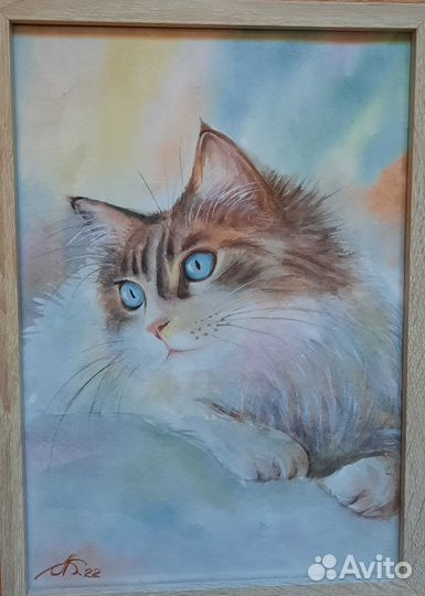 Картинки котики