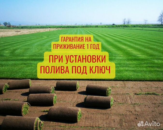 Рулонный газон Спортивный под ключ