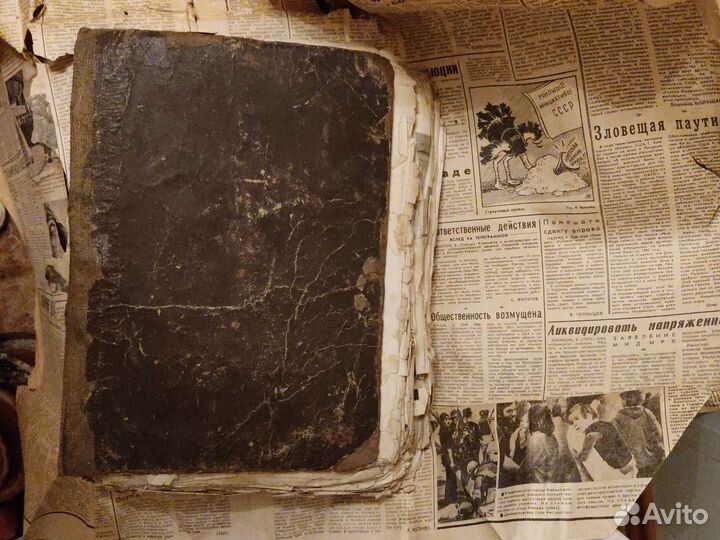 Родина 1891 г