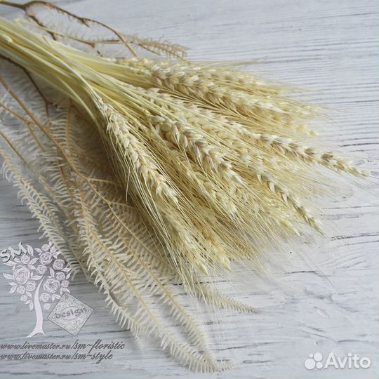 Пшеница натуральная (30 колосков) белая