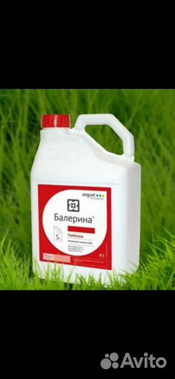 Балерина супер (гербицид)