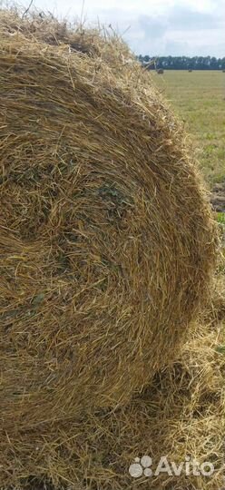 Солома в рулонах