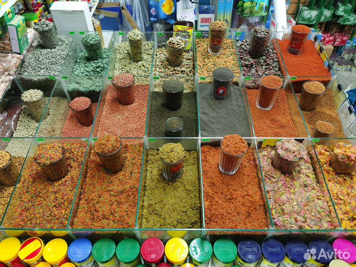 Корм для рыб