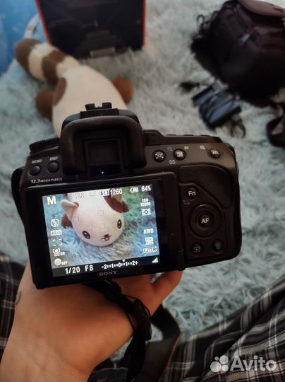 Зеркальный фотоаппарат sony a500