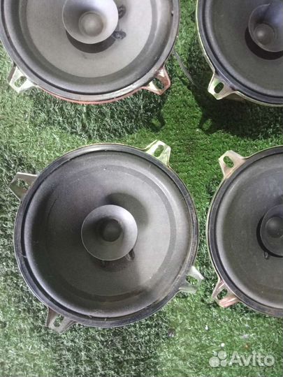 Динамики нпо Ителма 13