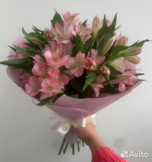 Альстромерия букеты цветы