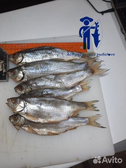 Икра воблы вяленая Астраханская