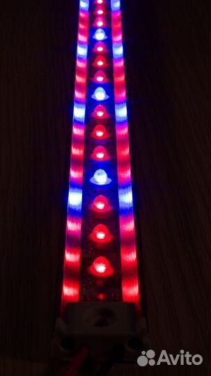 Светодиодные Арго-Светильники (фито досветка)