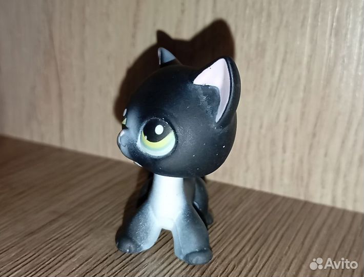 Littlest pet shop lps short hair cat #336