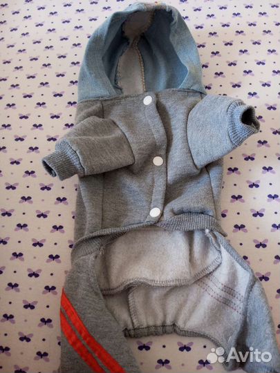 Костюм для собак