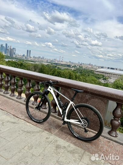 Scott Scale 920 carbon (2021) L