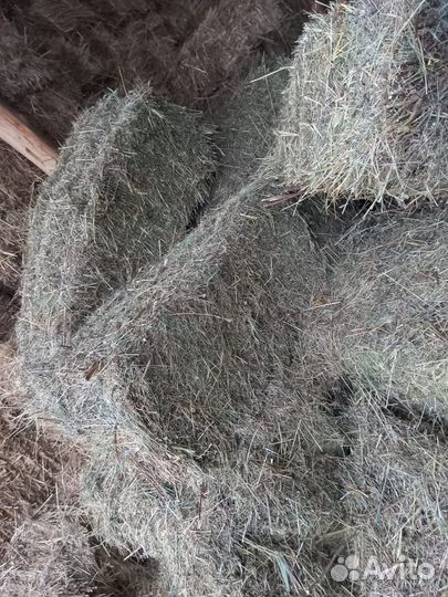 Сено и солома
