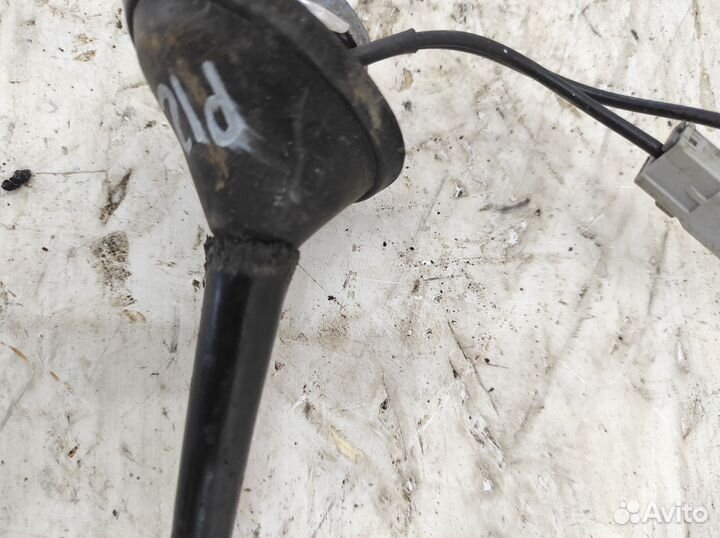 Антенна nissan primera p12