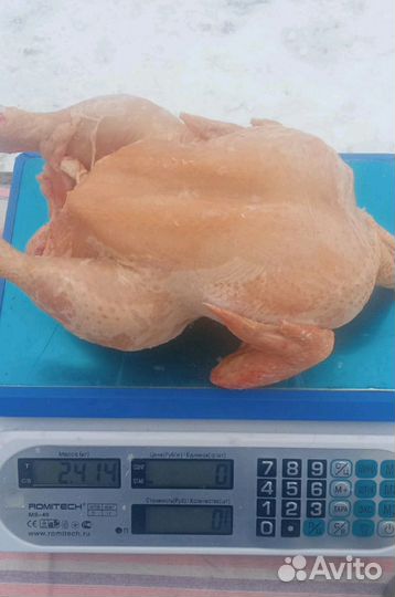 Мясо бройлера