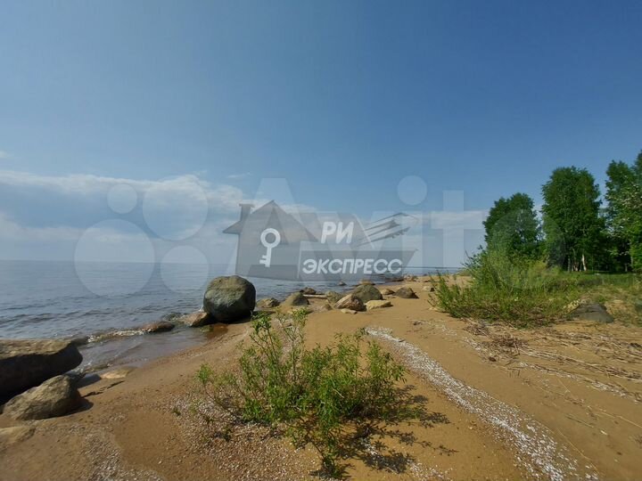 Пляж Бобарино Рыбинское водохранилище