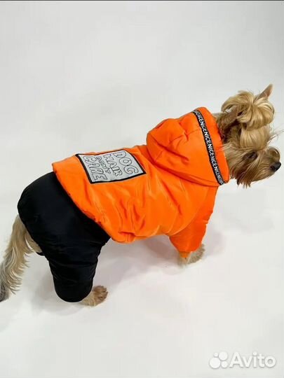 Комбинезон для собаки