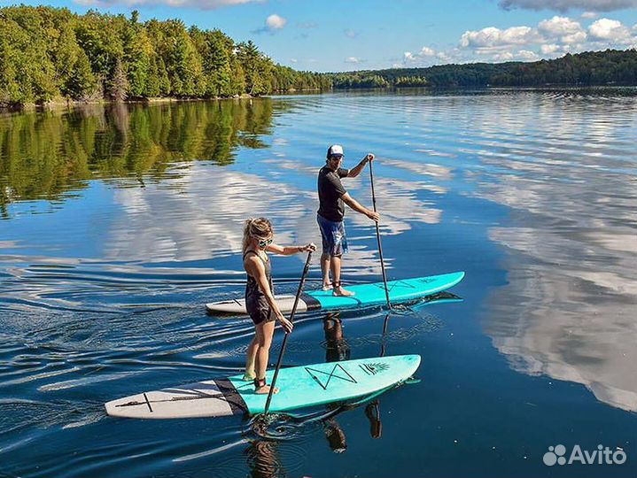 Аренда сапбордов