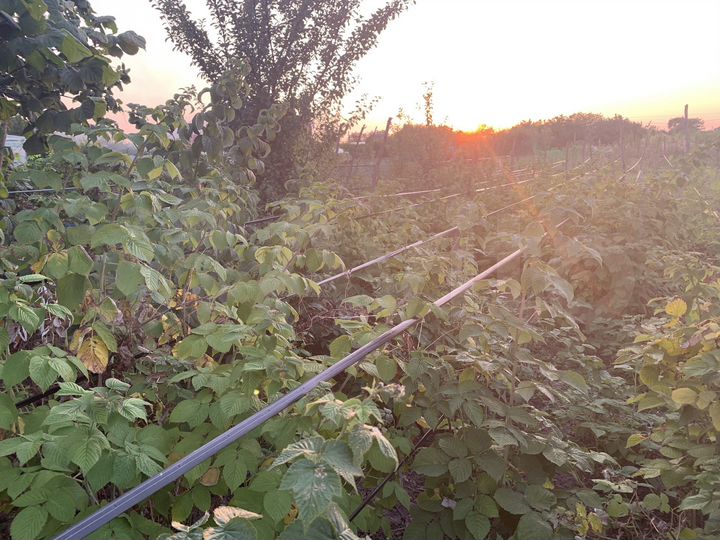 Дом 36 м² на участке 22 сот.