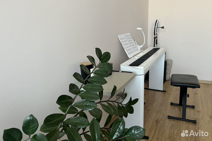 Преподаватель, репетитор по фортепиано, сольфеджио