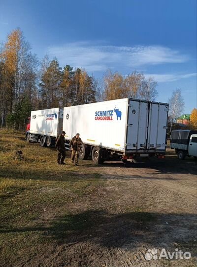 MAN TGA 26.350, 2008