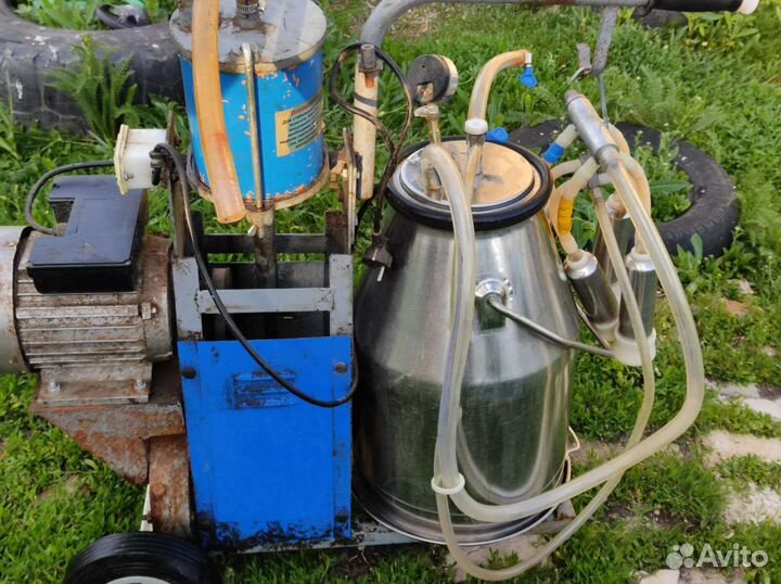 Дойный аппарат бу