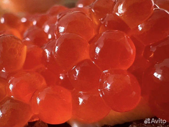 Икра красная камчатская свежая. Доставка по мск