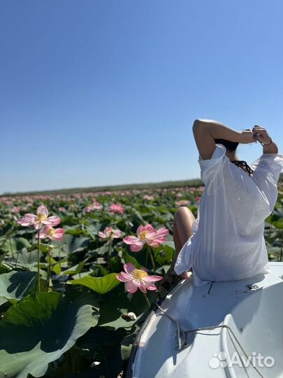 Экскурсии на лотосовые поля в Дельту Волги