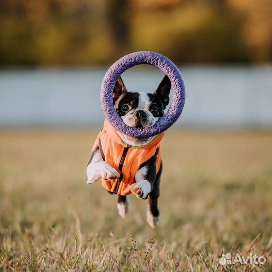 Жилетка куртка для собаки collar S40