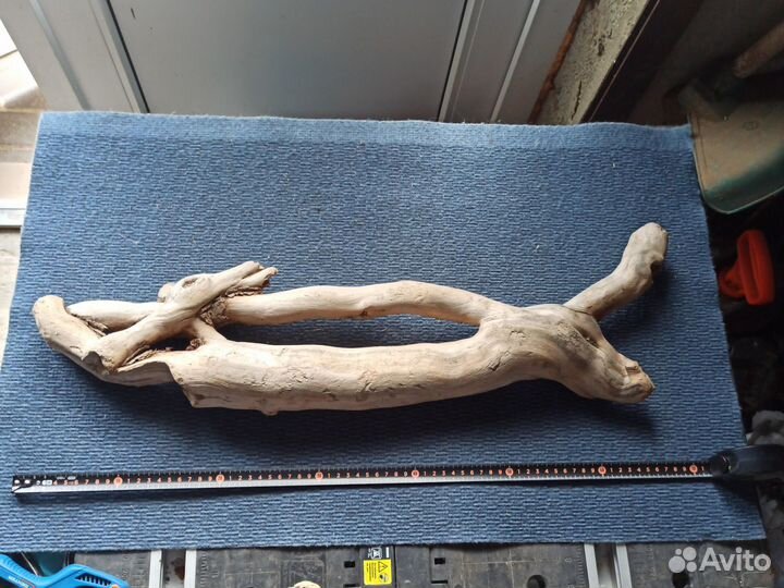 Коряга 70см для растений кактусы