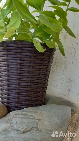 Кашпо из Ротанга