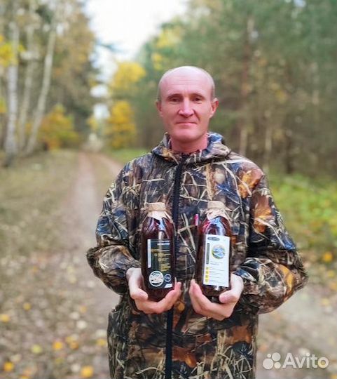 Дары/П Шиитаке на масле Веселка муэр кордицепс