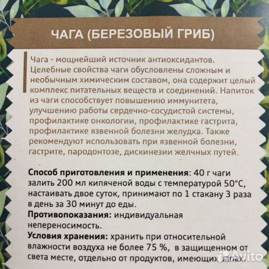 Чага (березовый гриб)