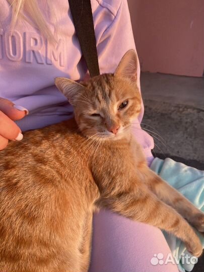 Рыжая девочка