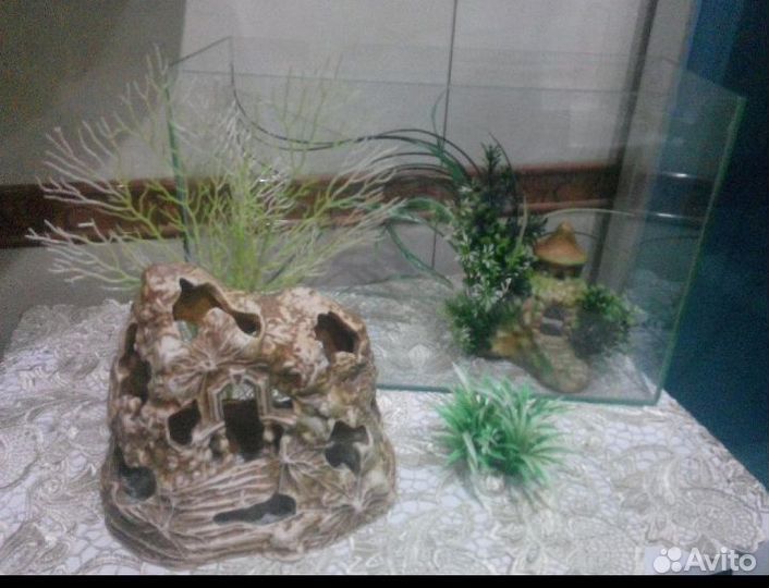 Аквариум + декор в подарок