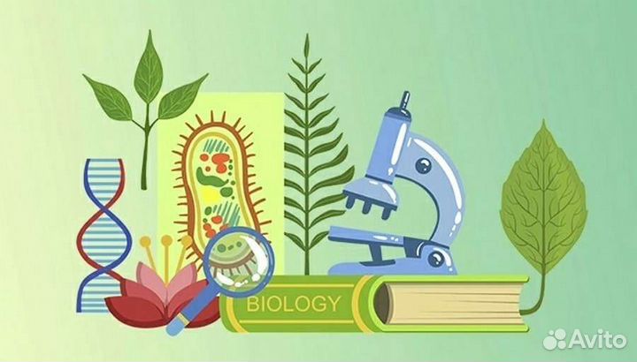 Репетитор по биологии, химии, математике