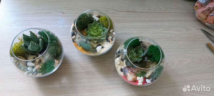Флорариум - маленький кусочек природы