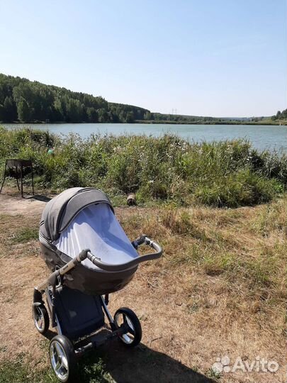Коляска адамекс шанталь 2в1