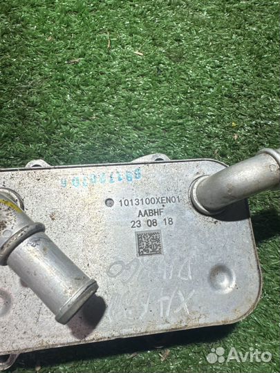 Теплообменник Haval Dargo