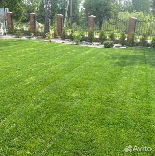 Газон. Рулонный газон