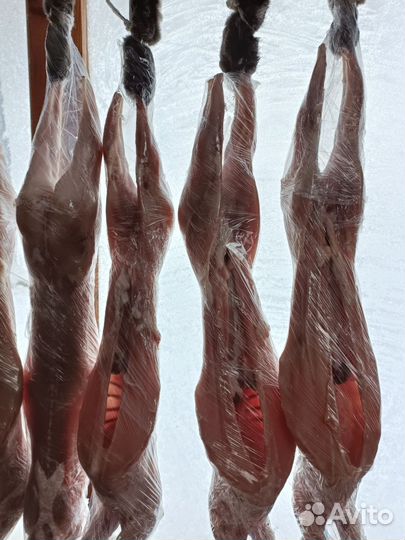 Продам мясо кролика