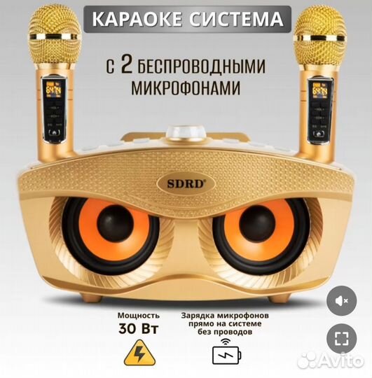 Караоке система 2 микрофонами sdrd SD-306 Plus