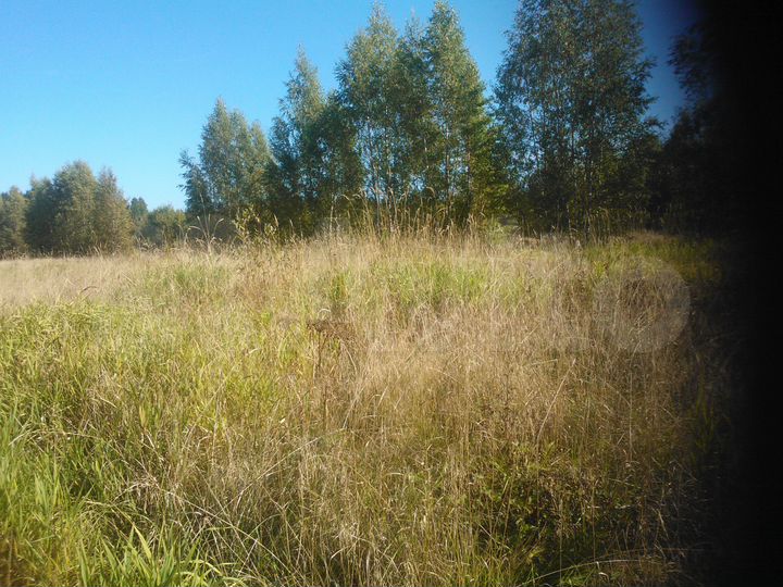 Участок 10 сот. (СНТ, ДНП)