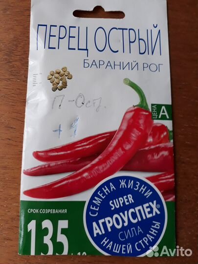 Продажа рассады перца, баклажан, томатов