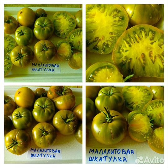 Томаты сортовые шоколадные,черные, зелёные семена