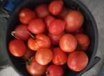 Продукты питания помидоры