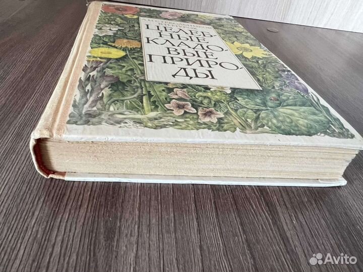 В.И. Мурох. Целебные кладовые природы