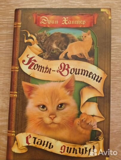 Коты воители книга стань диким