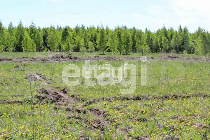 Участок 10 сот. (ИЖС)