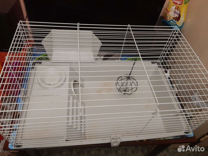 Клетка для морской свинки